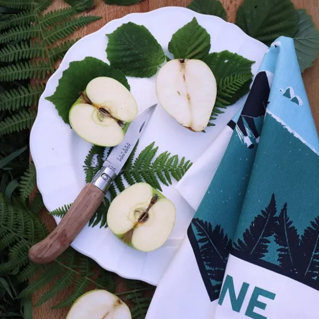 Maison Jean-Vier Essuie-main Vert