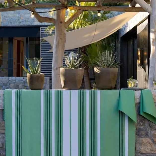 Maison Jean-Vier Nappe enduite Vert