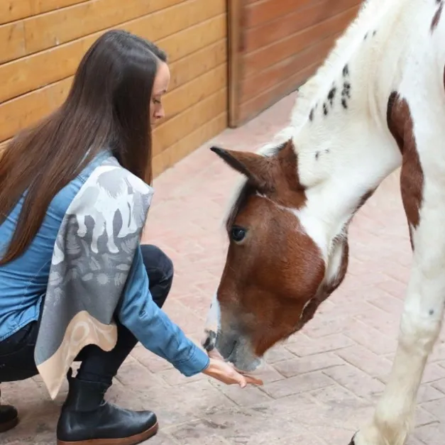 Maison Jean-Vier Torchon gris en Jacquard à motifs pottok
